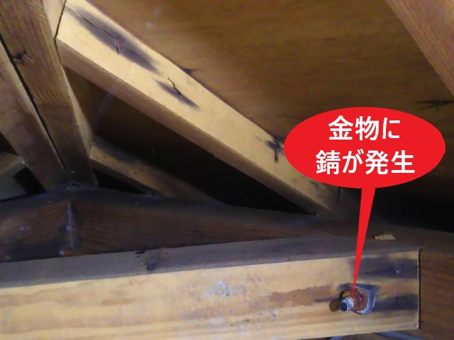 天井裏　金物にサビが発生